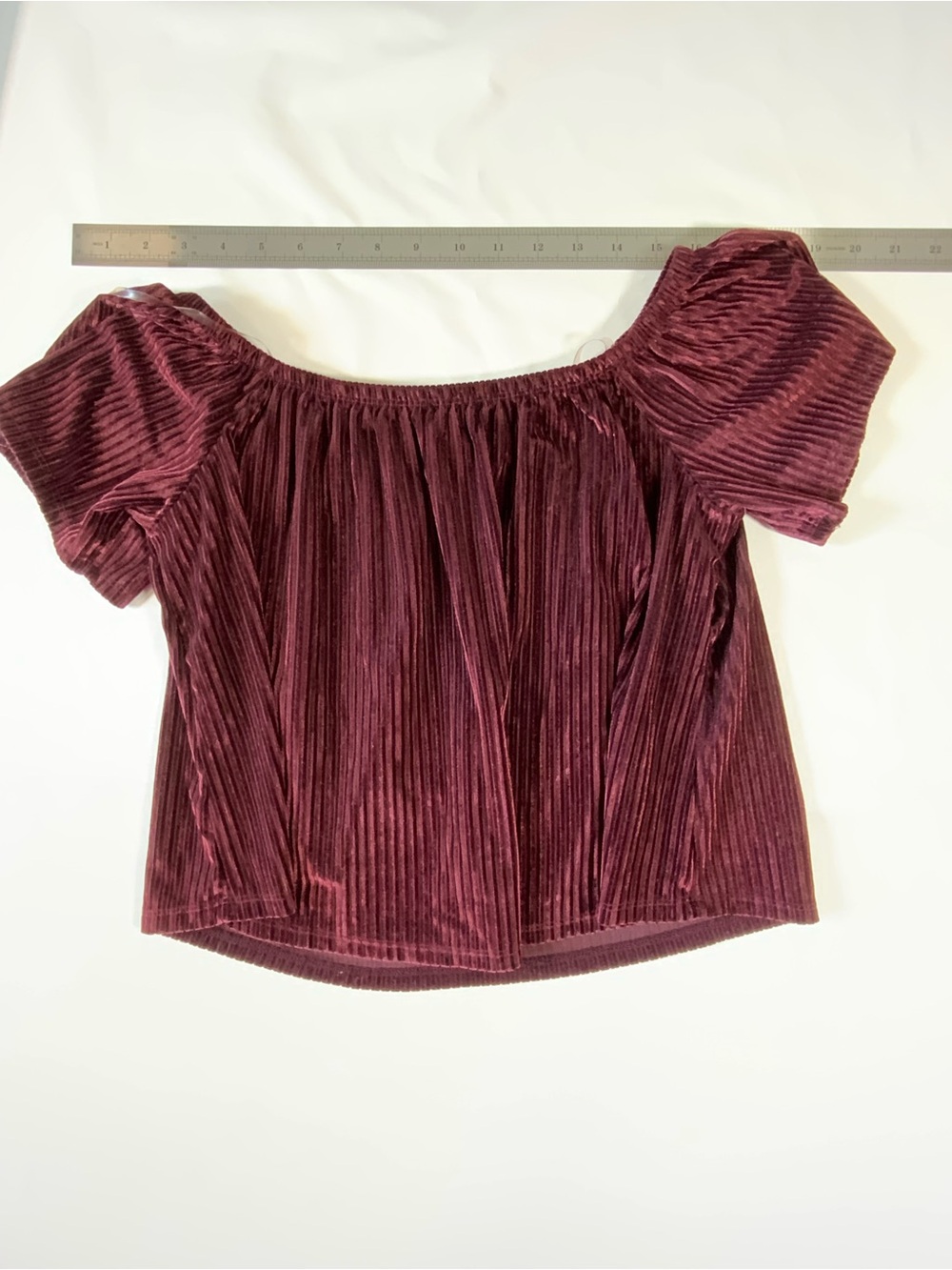 Bozzolo Off-Shoulder Velvet Pleated Top - Wine